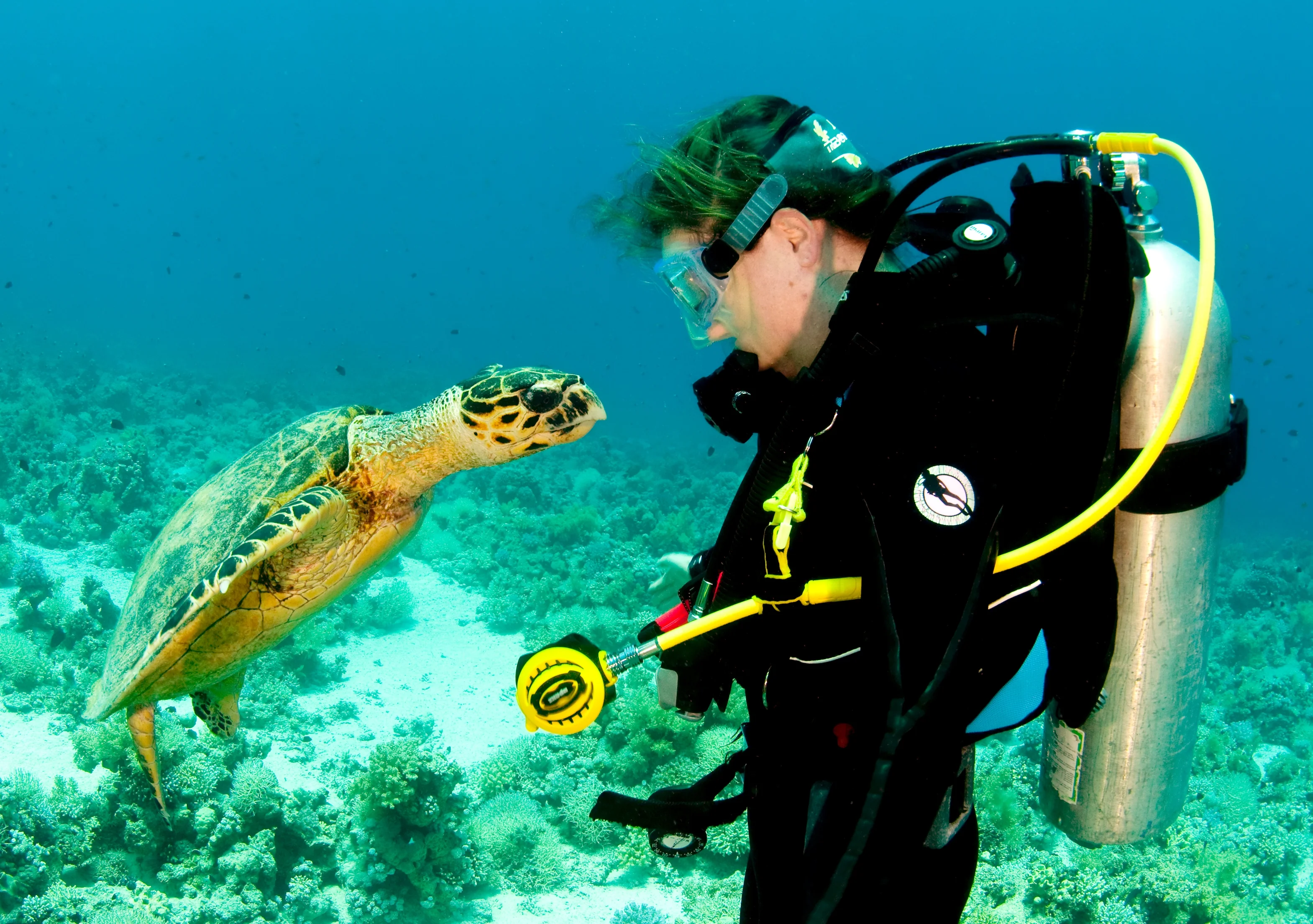 Jackson's Reef